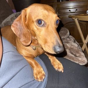 Meet your Posher, Kristina